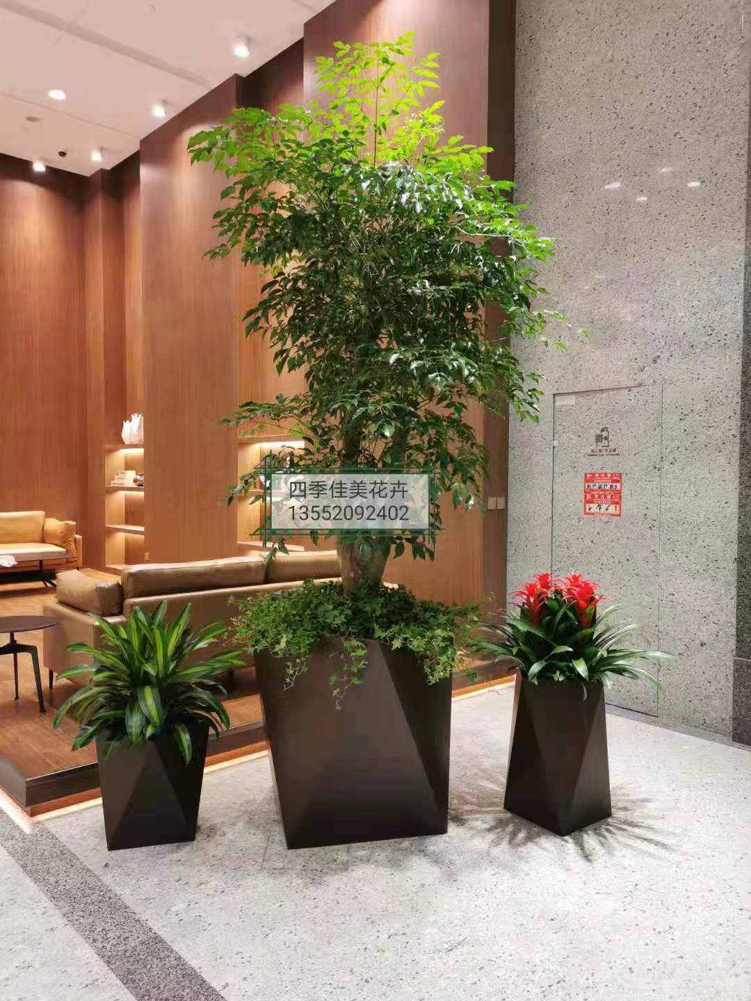 大廈寫(xiě)字樓綠植租擺