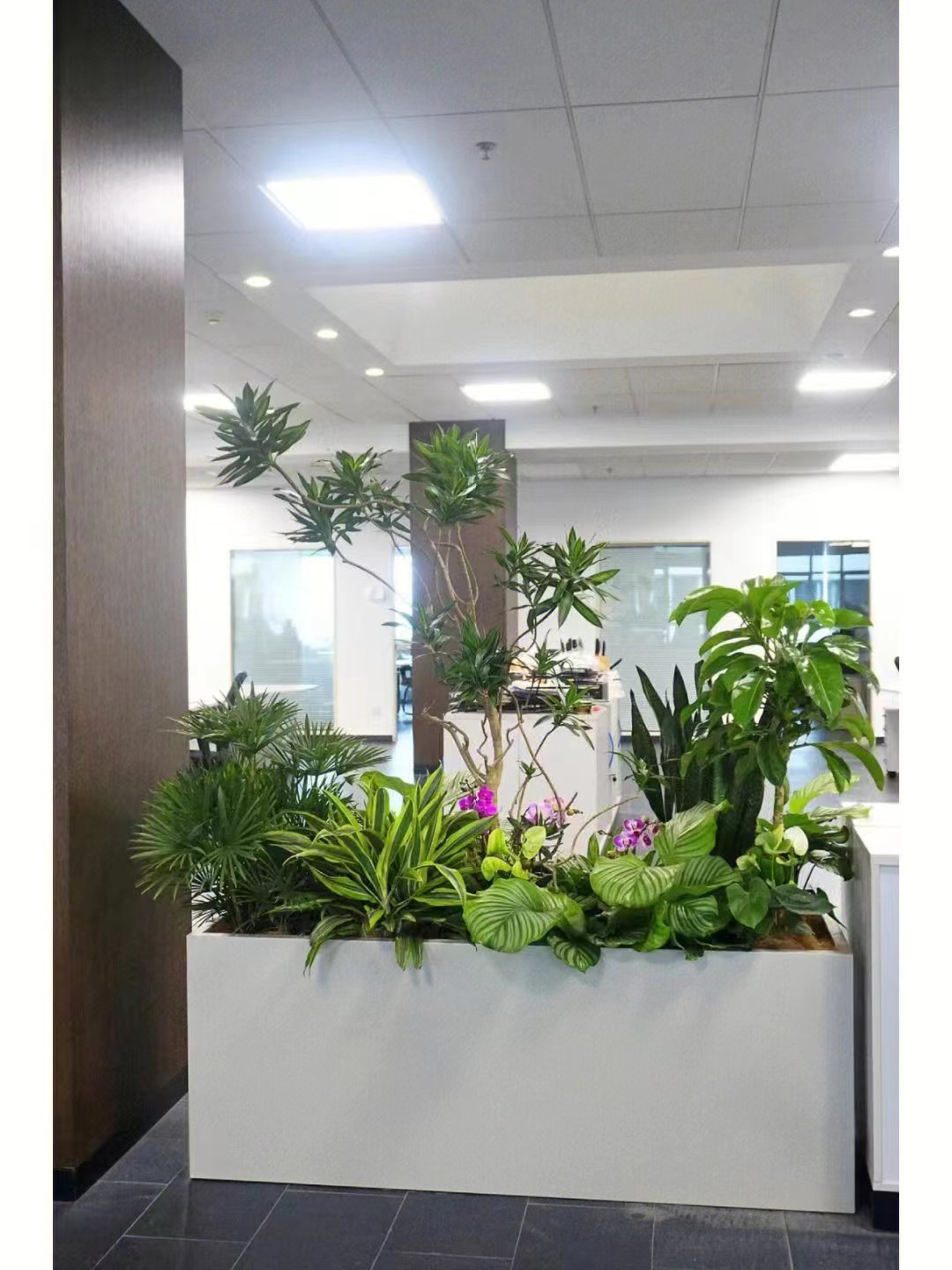 北京世紀(jì)匯通園藝養(yǎng)護(hù)綠植的標(biāo)準(zhǔn)。