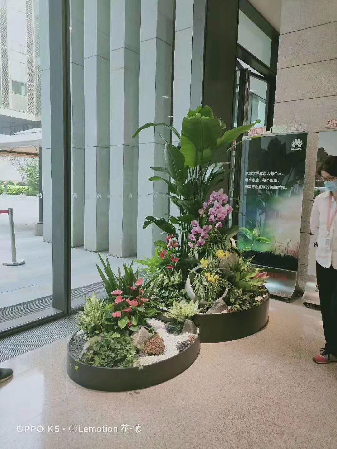 辦公室綠植租賃：營造良好的會議室綠植環(huán)境美化。