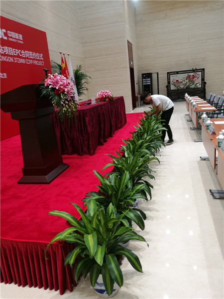 矮牽牛冬天怎么養(yǎng)？注意這5個(gè)養(yǎng)護(hù)細(xì)節(jié)，就能安全越冬！