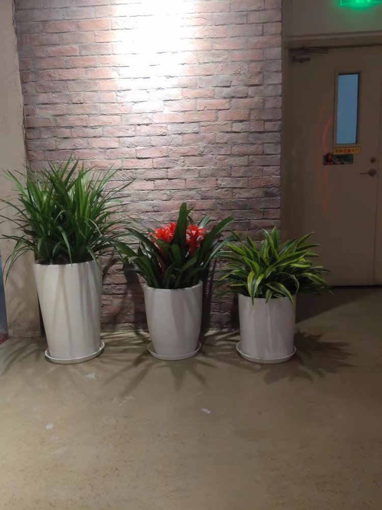 北京花卉租擺大興區(qū)花卉租擺公司亦莊經(jīng)濟(jì)技術(shù)開(kāi)發(fā)區(qū)綠植租擺公司