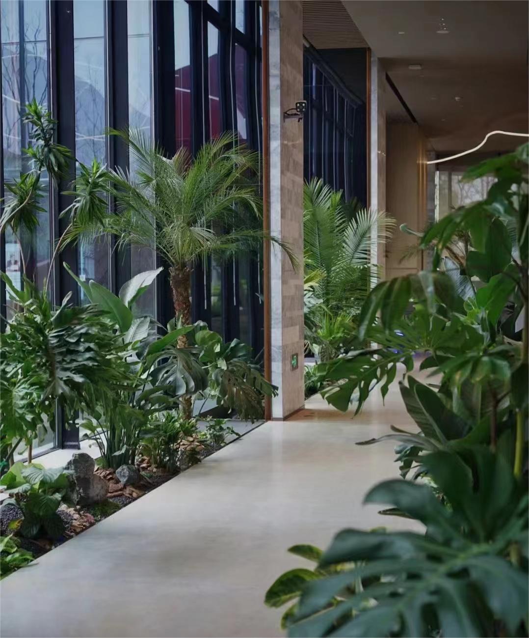 室內綠植造景